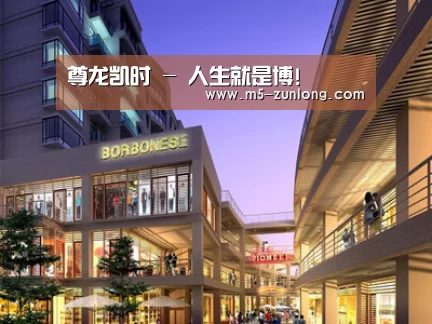 案例展示一(图1)