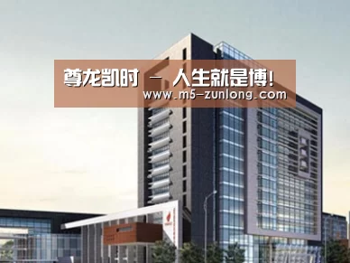 案例展示七