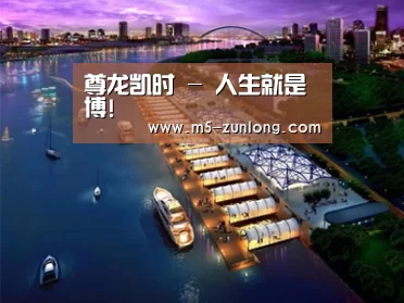 案例展示八