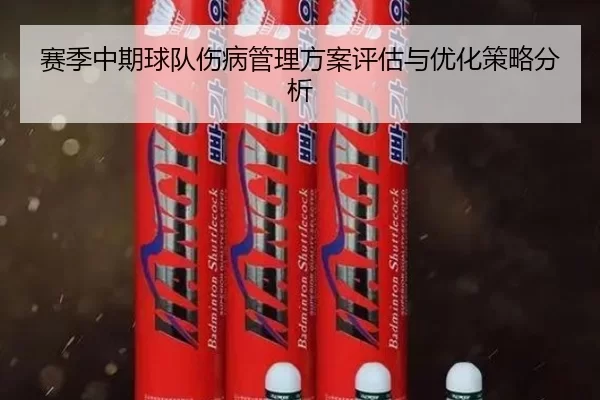 赛季中期球队伤病管理方案评估与优化策略分析